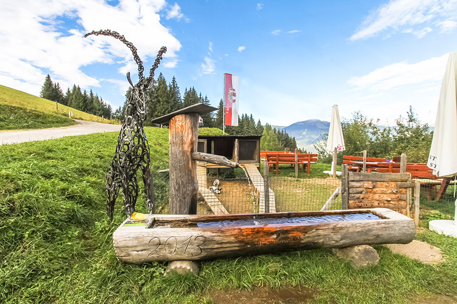 Berggasthof Enzianhütte in Zell am See – Galerieansicht 8