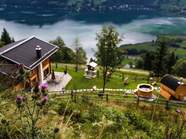 Entwies Alm in Zell am See im Sommer