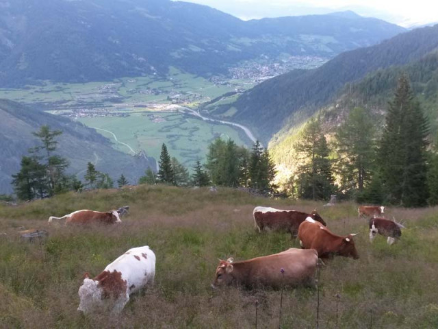 Almhütte Schaidlhof