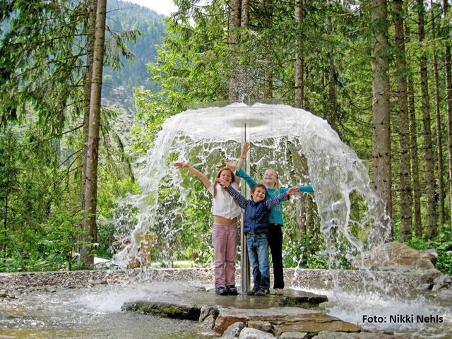 Selbstversorger-Almhütte in Gosau  GOS-OOE