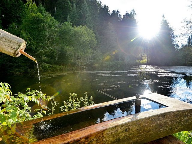 Almhütte in der Ramsau-Steiermark FIS-STM