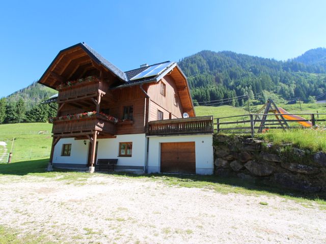 Komfortable Almhütte in Donnersbach DON-STM