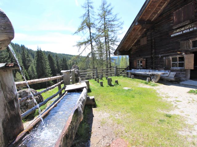 Almhütte in Filzmoos TEN-SBG