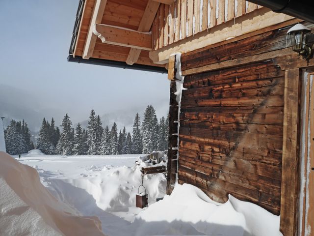 Almhütte in Lachtal NER-STM