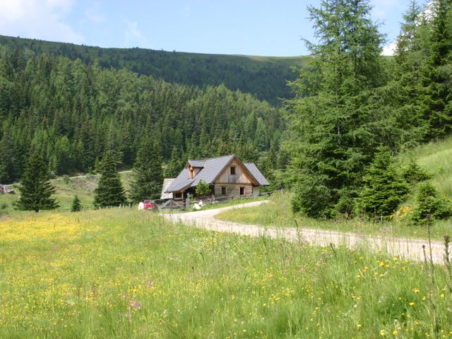 Almhütte in Lachtal REI-STM