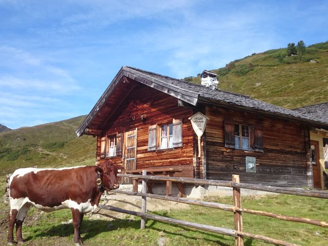 Almhütte in Neukirchen am Großvenediger HAF-SBG