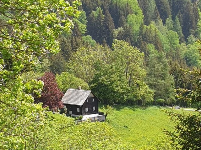 Almhütte in St. Jakob-Breitenau SLA-STM