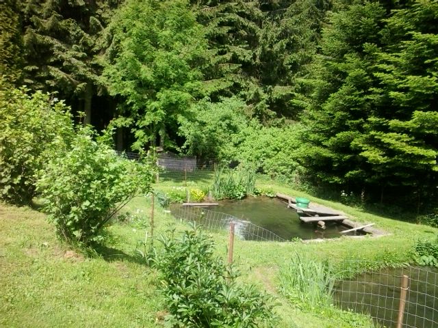 Almhütte in Rettenegg EGG-STM