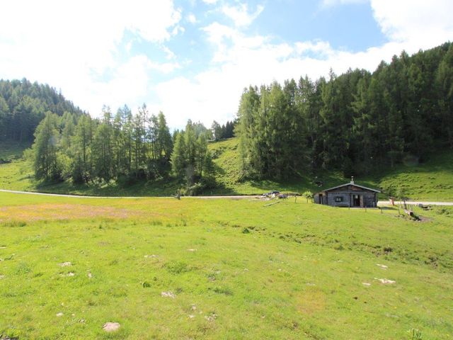 Almhütte GAS-SBG