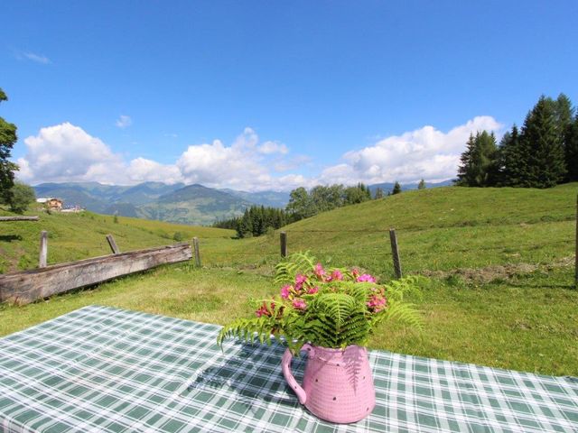 Almhütte GAS-SBG