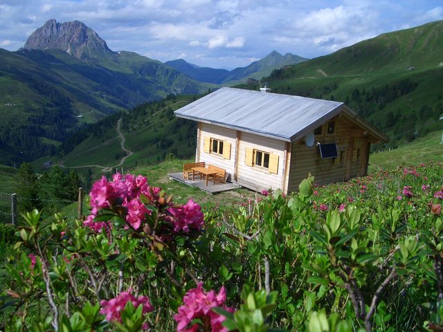 Almhütte DER-SBG